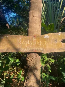 Viaje a la India Yoga