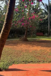 Mysore Yoga con Sharmila Desai