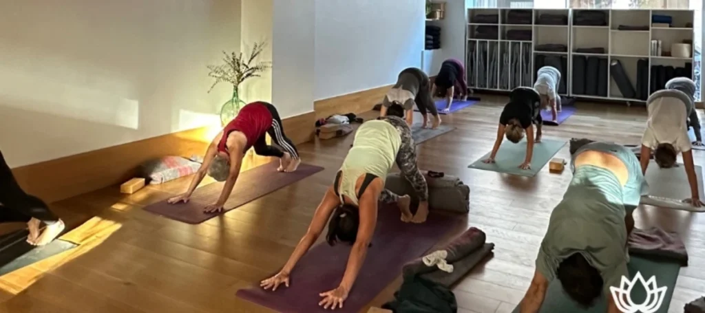 Clases de Hatha Yoga | Omy-Yoga